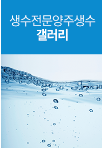 갤러리